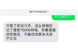 孝昌为什么选择专业追讨公司来处理您的债务纠纷？